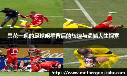 昙花一现的足球明星背后的辉煌与遗憾人生探索